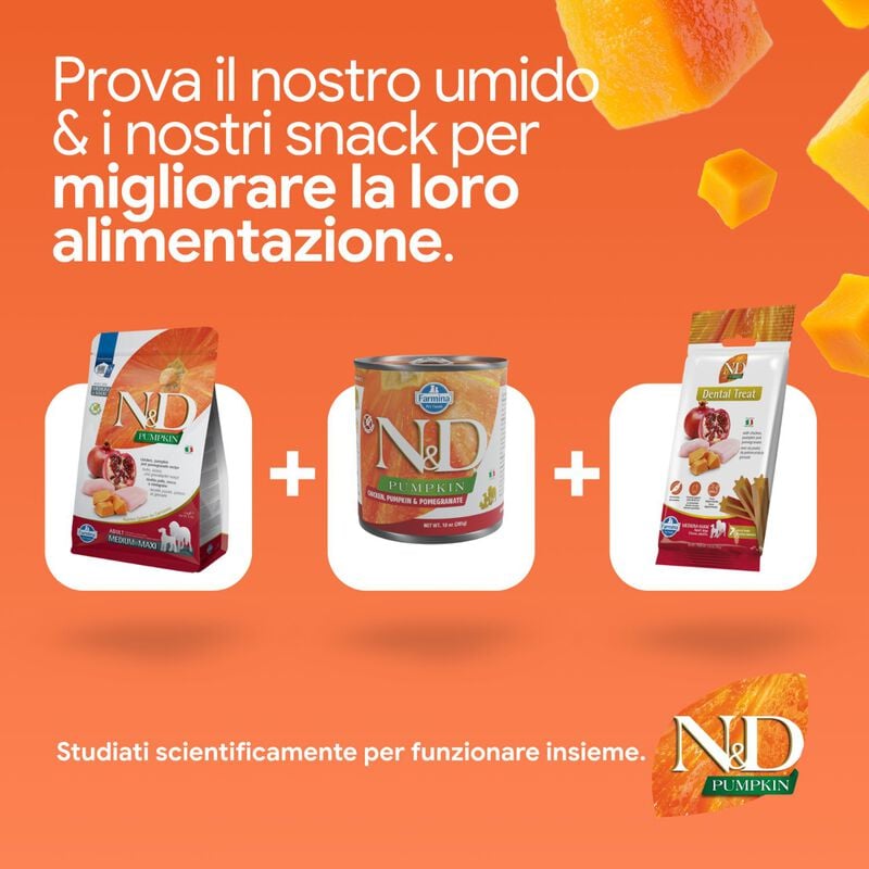 N&D Farmina Pumpkin Dog Adult Medium & Maxi Pollo e Melograno 2,5 kg