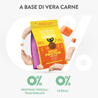 Schesir Born Carnivore Cat Adult Pollo con Uovo 255gr