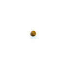 Forza10 Mono Diet Dog Medium al Cervo con Patate 12 Kg