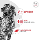 Royal Canin Veterinary Diet Dog Adult Glycobalance 410gr