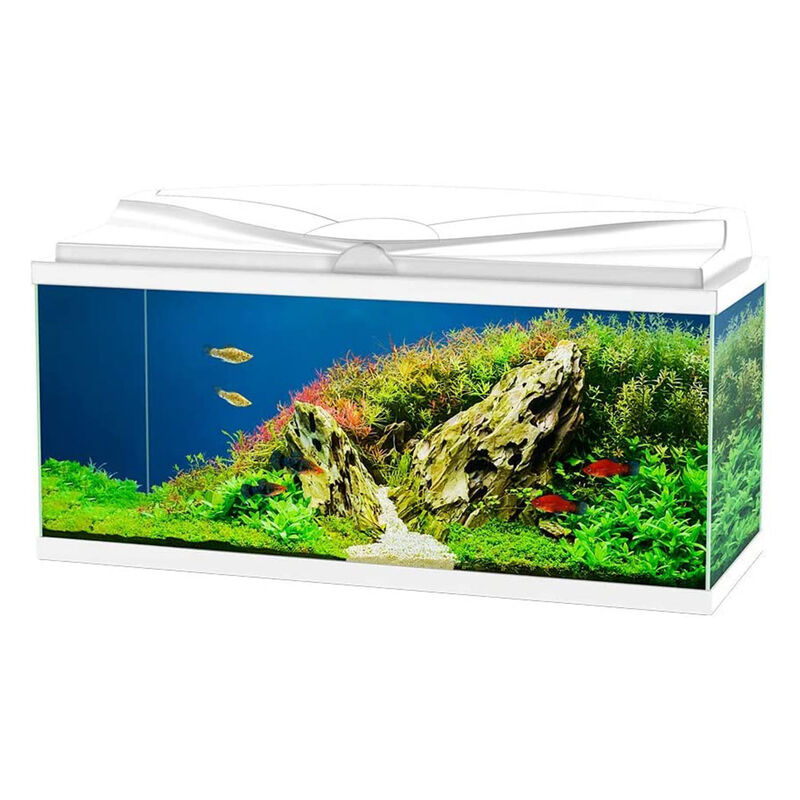 Askoll Acquario Aqua 80 Led Bianco