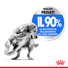 Royal Canin Dog Maxi Adult Light Weight Care 3 kg