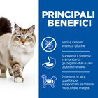 Hill's Science Plan Cat Adult No Grain con Pollo 1,5 kg