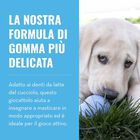Kong Gioco da mordere per cuccioli M Blu 1 pz