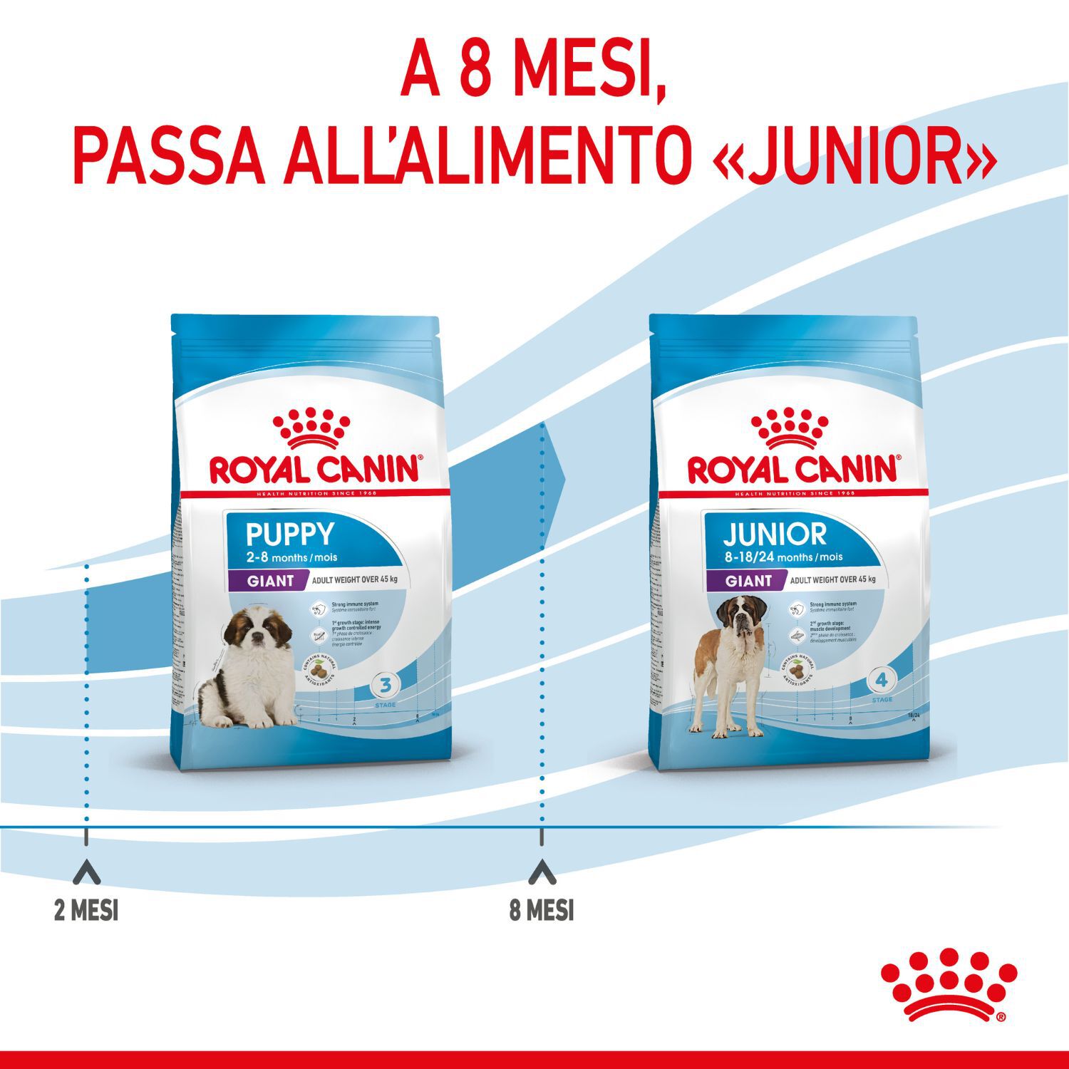 Royal Canin Giant Puppy 15 Kg | L'Isola dei Tesori