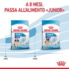 Royal Canin Dog Giant Puppy 15 kg