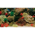 Trixie Carta decorativa dolce/marino a metro