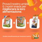 N&D Farmina Pumpkin Dog Adult Mini Cinghiale e Mela 7 kg