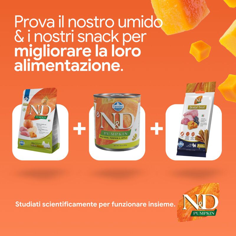 N&D Farmina Pumpkin Dog Adult Mini Cinghiale e Mela 7 kg