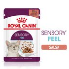 Royal Canin Cat Adult Sensory Feel Salsa 85 gr