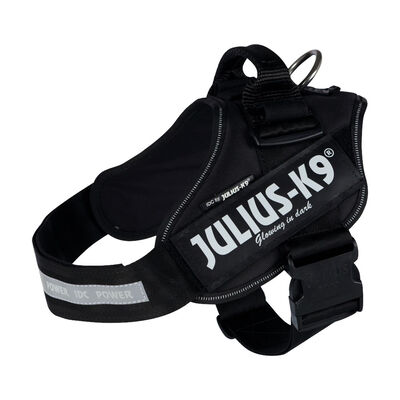 Julius Pettorina Power 1/L Nero