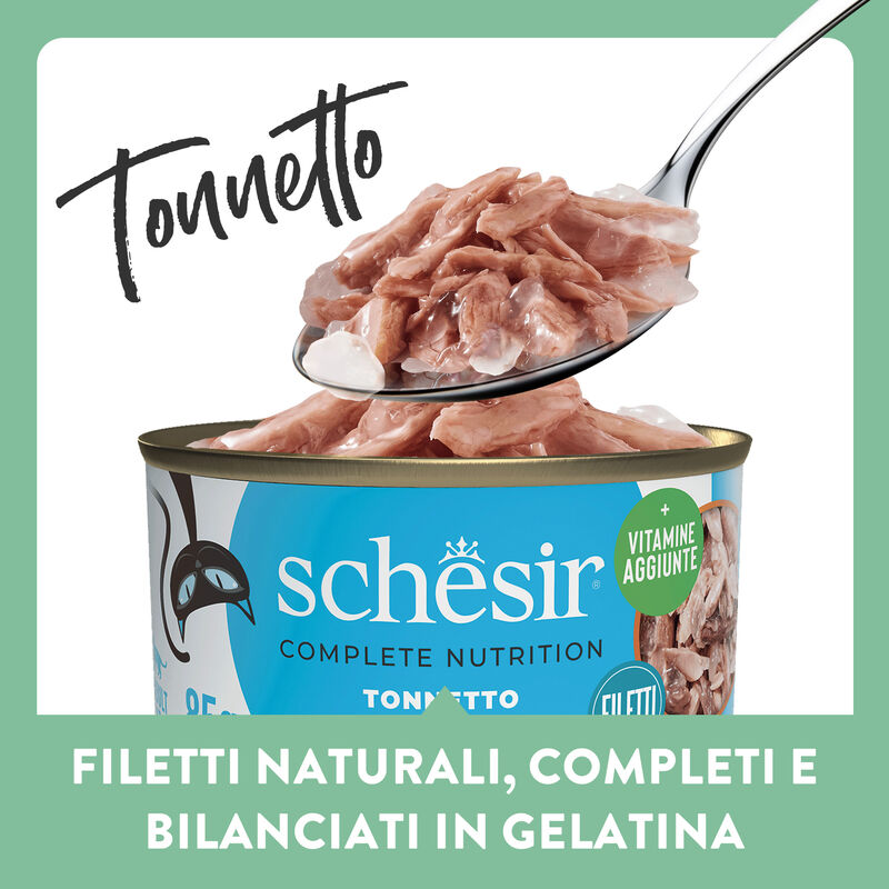 Schesir Cat Adult Tonnetto jelly 140gr