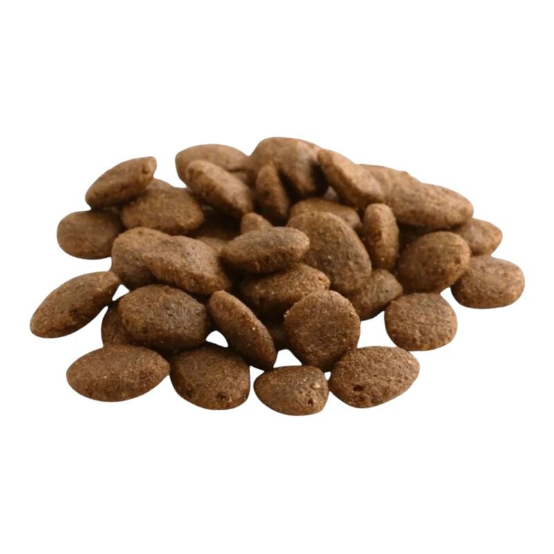 Fish4dogs Finest Dog Adult Large Salmone 12 kg