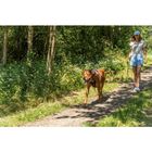 Trixie Pettorina Active Color Vinaccia Tg M