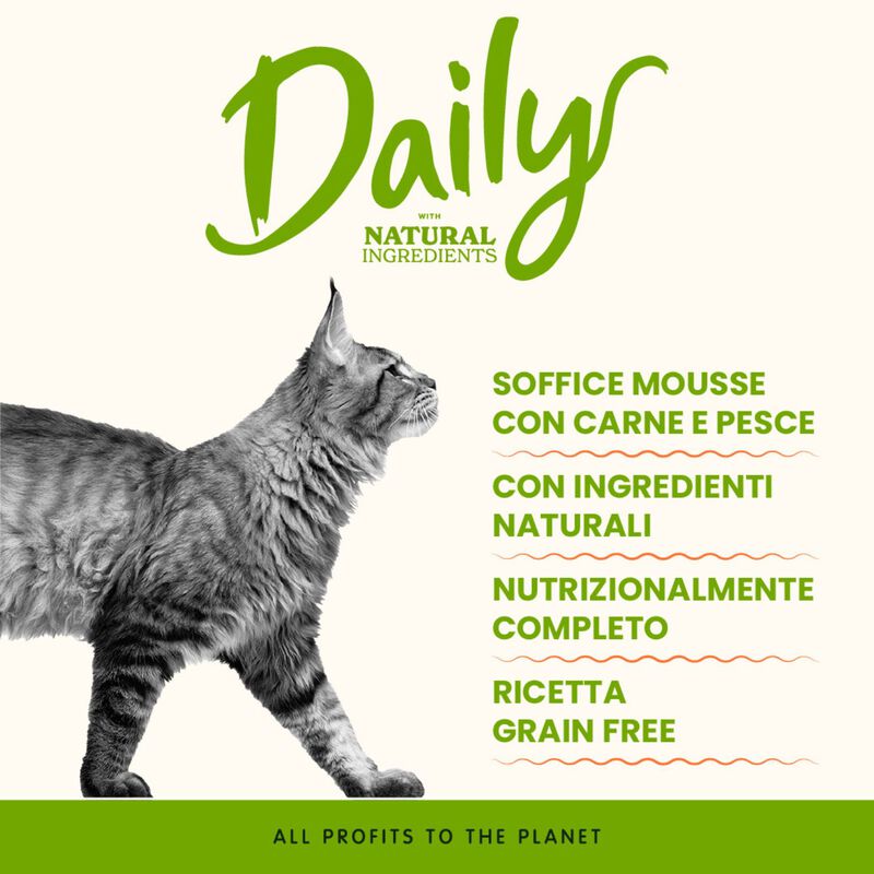 Almo Nature Cat Adult Daily Mousse con Manzo e Vitello 85 gr