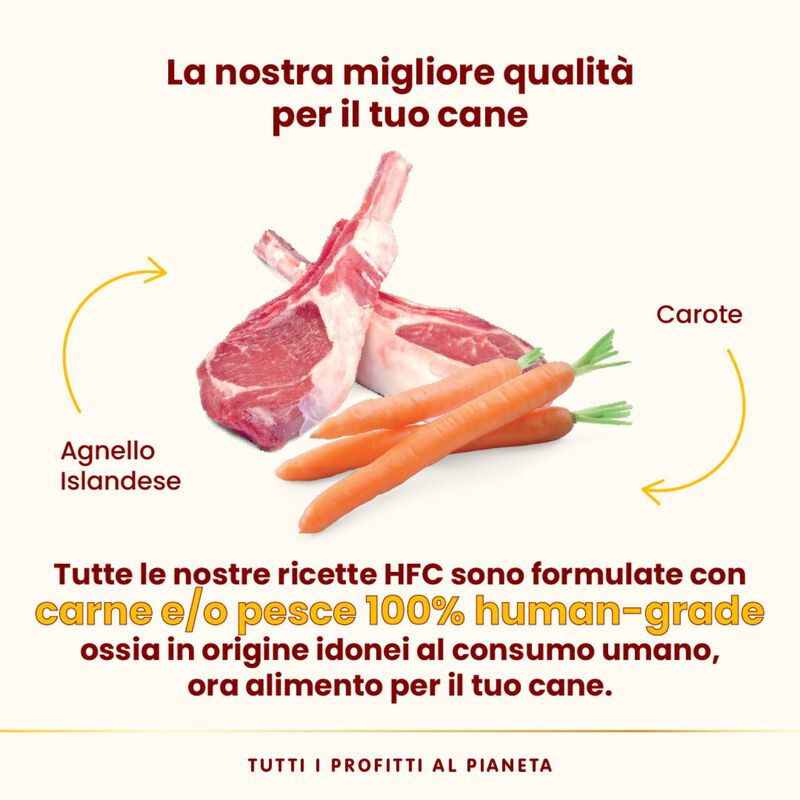 Almo Nature HFC Complete Dog Adult Agnello 85g