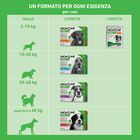 Frontline Combo Spot-On cane superiore a 40 kg 3 pipette