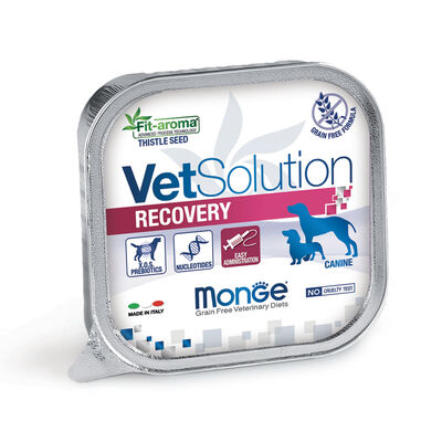 Monge VetSolution Dog Diet Recovery 150 gr