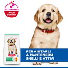 Hill's Science Plan Dog Puppy Large al Pollo 14,5 kg