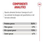 Royal Canin Cat Senior Ageing +11 anni 2 kg