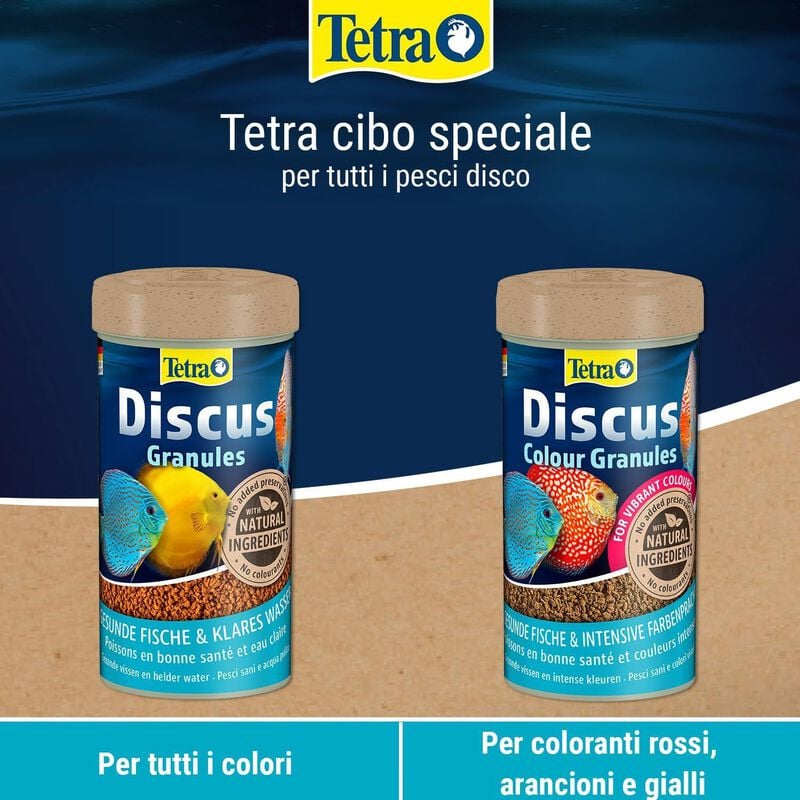 Tetra Discus Granules 100 ml