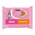 Purina One Kitten con Pollo e Carote 4 pz x 85 gr
