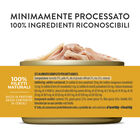 Schesir Cat Adult Tonnetto con pollo jelly 85g