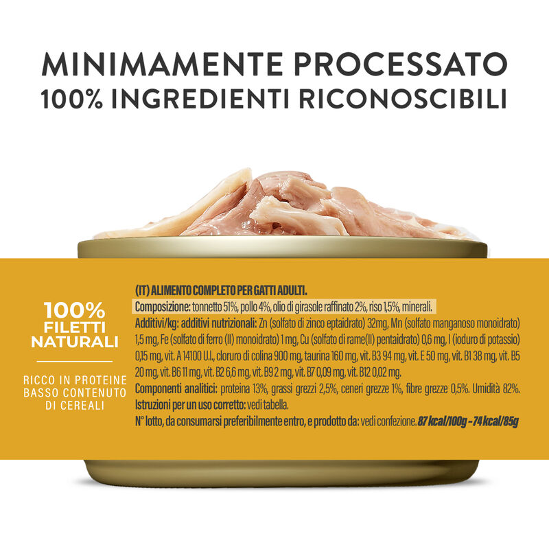 Schesir Cat Adult Tonnetto con pollo jelly 85g