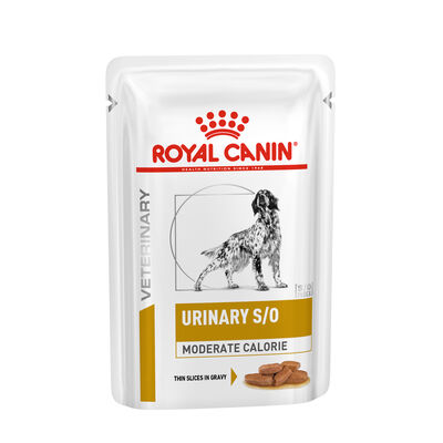 Royal Canin Veterinary Diet Dog Adult Urinary S/O Moderate Calorie 12x100 gr