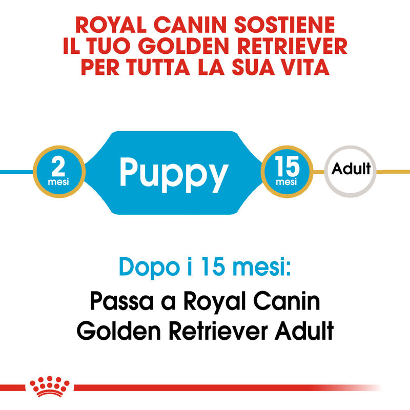 Royal Canin Dog Puppy Golden Retriver 12 kg