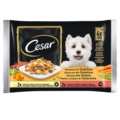 Cesar Dog Delizie del Giorno Multipack Pollo e Carote e Manzo e Verdure in Gelatina 4x100 gr