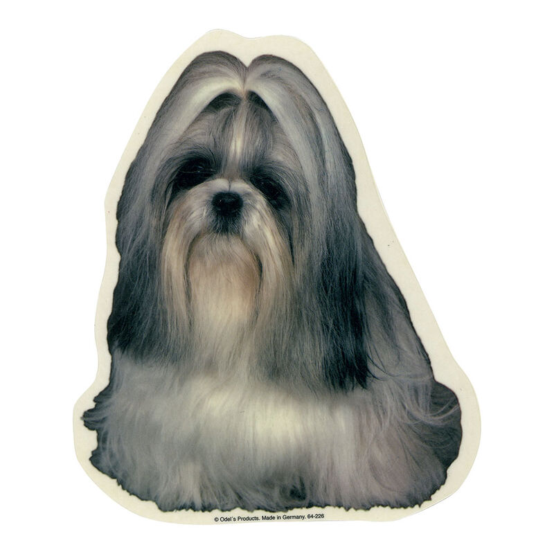 Camon Vetrofanie Shih-tzu