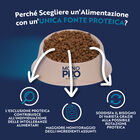 Monopro Cat Adult Salmone 350gr