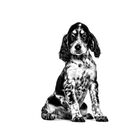 Royal Canin Veterinary Diet Dog Puppy Gastrointestinal 195 gr