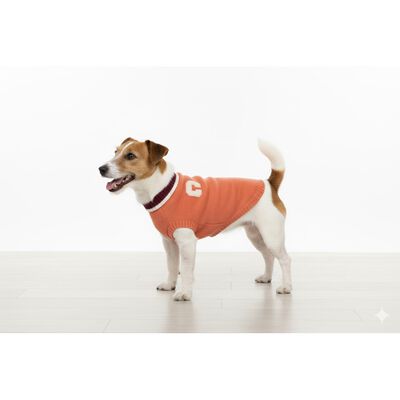 Camon Maglioncino per cani Chelsea tg. 45