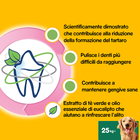 Pedigree Dentastix Daily fresh Dog Large 154x4 pz