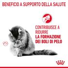 Royal Canin Hairball Care Adult Cat 10 kg