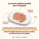 Almo Nature HFC Cat Jelly Tonno con Ricciola 70g