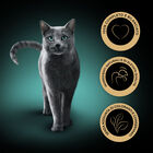 Sheba Kitten Selezione Assortita in salsa con Salmone e Pollo 4x85gr