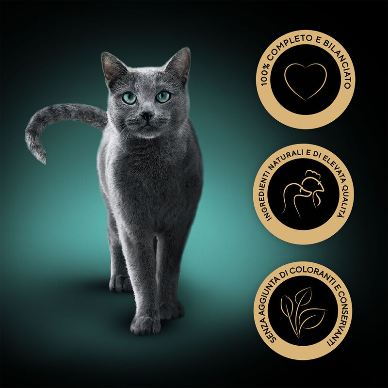 Sheba Kitten Selezione Assortita in salsa con Salmone e Pollo 4x85gr