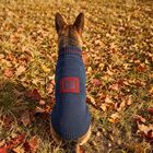L'Isola dei Tesori Harry Maglioncino per cani tg. 45 Blu