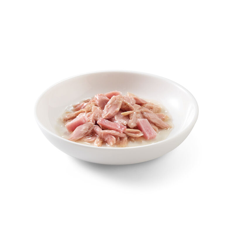 Schesir Cat Tonnetto con Prosciutto in Brodo di Pesce 70 gr