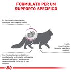 Royal Canin Veterinary Diet Cat Early Renal 1,5 kg