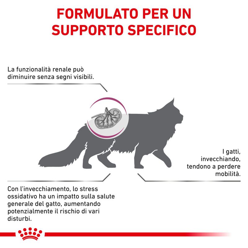 Royal Canin Veterinary Diet Cat Early Renal 1,5 kg