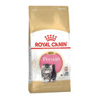 Royal Canin Cat Kitten Persian 400 gr