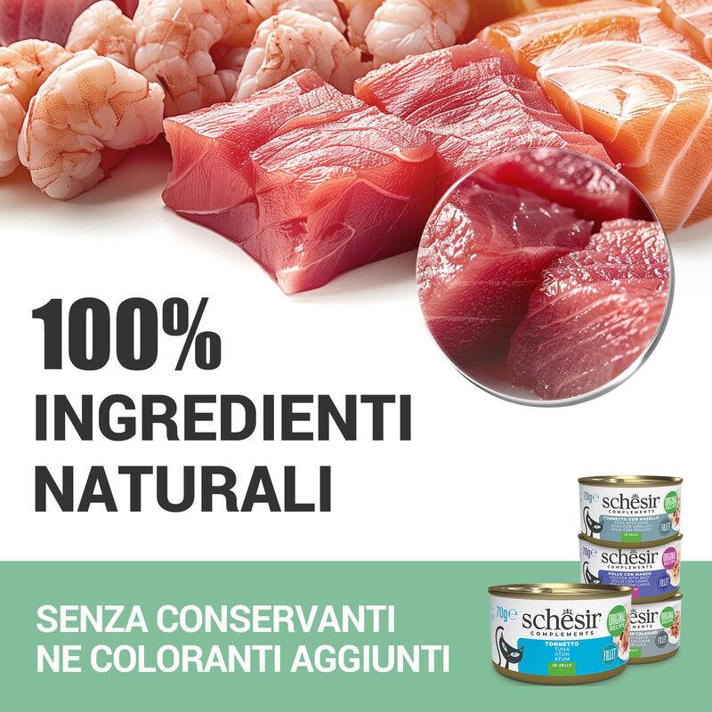 Schesir cat Filetti di Pollo, Manzo e Riso 70gr