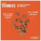 Schesir Dog Adult Snacks Trainers al Pollo 113gr