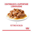 Royal Canin Cat Adult Digest Care in salsa 85 gr