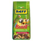 Raff Brazil con Noci e Frutta esotica 900 gr image number 0