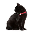 Hunter Collare Glossy Dots rosso